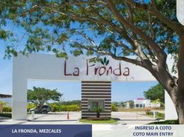  Terreno (Parcela) en venta en Compostela, Nayarit, Compostela