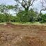  Land for sale in Cavite, Calabarzon, Alfonso, Cavite