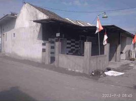 2 Kamar Rumah for rent in Jember, East Jawa, Sumbersari, Jember