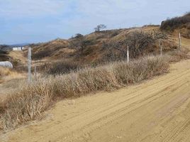  Terreno (Parcela) en venta en Contralmirante Villar, Tumbes, Zorritos, Contralmirante Villar