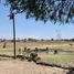  Grundstück zu verkaufen in Ixtlahuacan Del Rio, Jalisco, Ixtlahuacan Del Rio