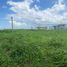  Land for sale in Calamba City, Calabarzon, Calamba City