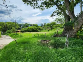  Terreno (Parcela) en venta en Cartago, Valle Del Cauca, Cartago