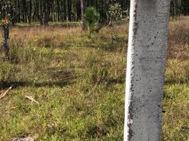  Land for sale in Morelia, Michoacan, Morelia, Michoacan