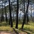  Land for sale in Morelia, Michoacan, Morelia, Michoacan