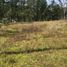  Land for sale in Morelia, Michoacan, Morelia, Michoacan