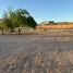  Grundstück zu verkaufen in Hermosillo, Sonora, Hermosillo