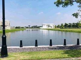  Land for sale in Samborondon, Guayas, Samborondon, Samborondon