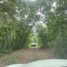  Land for sale in Allende, Nuevo Leon, Allende, Nuevo Leon