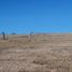  Land for sale in Jerecuaro, Guanajuato, Jerecuaro