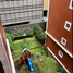 3 Schlafzimmer Wohnung zu verkaufen in Alvaro Obregon, Mexico City, Alvaro Obregon