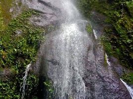  Terreno (Parcela) en venta en San Bartolo Tutotepec, Hidalgo, San Bartolo Tutotepec