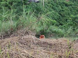  Terreno (Parcela) en venta en Cebu City, Central Visayas, Cebu City, Cebu, Central Visayas, Filipinas