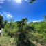  Land for sale in Cebu Central Visayas, Lapu-Lapu City