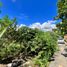  Land for sale in Cebu Central Visayas, Lapu-Lapu City