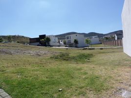 Terrain à vendre à Atlixco, Puebla, Atlixco, Puebla