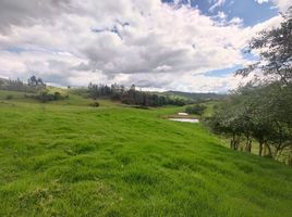 3 Habitación Villa en venta en Tuta, Boyaca, Tuta