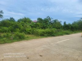  Land for sale in Panglao, Bohol, Panglao