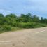  Land for sale in Panglao, Bohol, Panglao