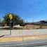  Land for rent in Leon, Guanajuato, Leon