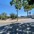  Land for rent in Leon, Guanajuato, Leon