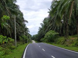  Terrain for sale in Kedah, Sungai Petani, Kuala Muda, Kedah