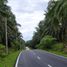  Land for sale in Kuala Muda Kedah, Sungai Petani, Kuala Muda, Kedah