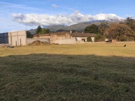  Grundstück zu verkaufen in Cayambe, Pichincha, Cayambe, Cayambe