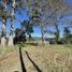  Terreno (Parcela) en venta en Los Ríos, Mariquina, Valdivia, Los Ríos