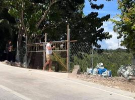  Land for sale in Oslob, Cebu, Oslob