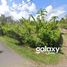  Land for sale in Jembrana, Bali, Negara, Jembrana