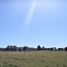 Land for sale in Chile, Villarrica, Cautin, Araucania, Chile
