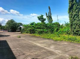  Grundstück zu vermieten in Lapu-Lapu City, Central Visayas, Lapu-Lapu City, Cebu, Central Visayas