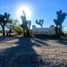  Land for sale in Salinas Victoria, Nuevo Leon, Salinas Victoria