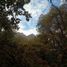  Land for sale in Maule, San Clemente, Talca, Maule