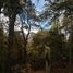  Land for sale in Maule, San Clemente, Talca, Maule