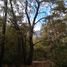  Land for sale in Maule, San Clemente, Talca, Maule