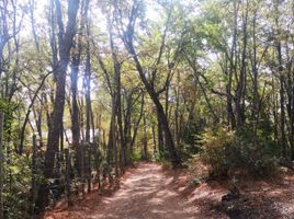  Land for sale in Maule, San Clemente, Talca, Maule