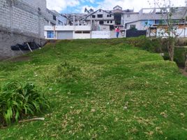  Terreno (Parcela) en venta en Quito, Pichincha, Quito, Quito, Pichincha