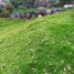  Terreno (Parcela) en venta en Quito, Pichincha, Quito, Quito, Pichincha