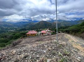  Terreno (Parcela) en venta en Loja, Vilcabamba (Victoria), Loja, Loja