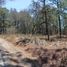  Land for sale in Amacueca, Jalisco, Amacueca