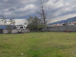  Land for sale in Ruminahui, Pichincha, Sangolqui, Ruminahui