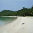  Land for sale in Coron, Mimaropa, Coron, Palawan, Mimaropa