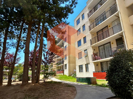 3 Habitación Apartamento en venta en Valparaíso, Valparaiso, Valparaíso, Valparaíso