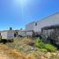  Land for rent in Chile, Vina Del Mar, Valparaiso, Valparaiso, Chile