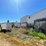  Land for rent in Chile, Vina Del Mar, Valparaiso, Valparaiso, Chile