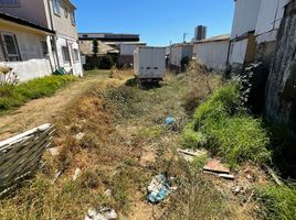  Land for rent in Chile, Vina Del Mar, Valparaiso, Valparaiso, Chile