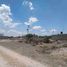  Terreno (Parcela) en venta en Tequisquiapan, Querétaro, Tequisquiapan, Querétaro