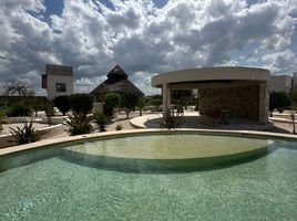 2 Schlafzimmer Wohnung zu verkaufen in Chicxulub Pueblo, Yucatan, Chicxulub Pueblo